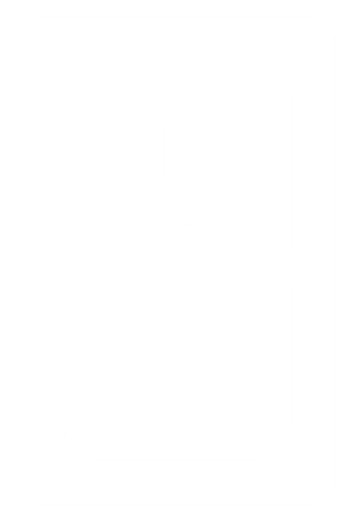 Slate Digital
